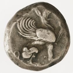 Teos (Ionien). Stater