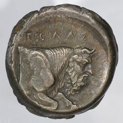 Gela, Sizilien. Tetradrachme